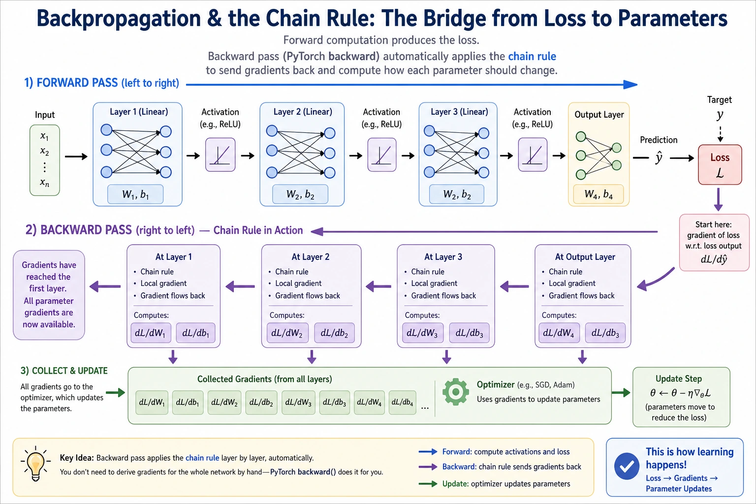 Bridge diagram of backpropagation and the chain rule