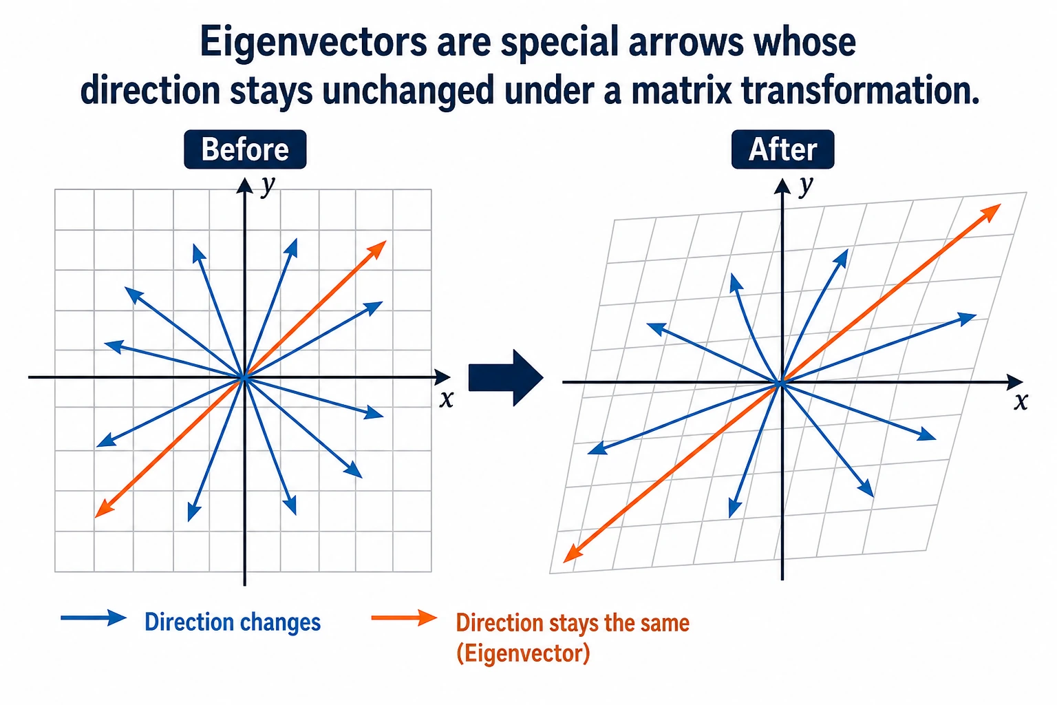 Illustration of special eigenvector directions