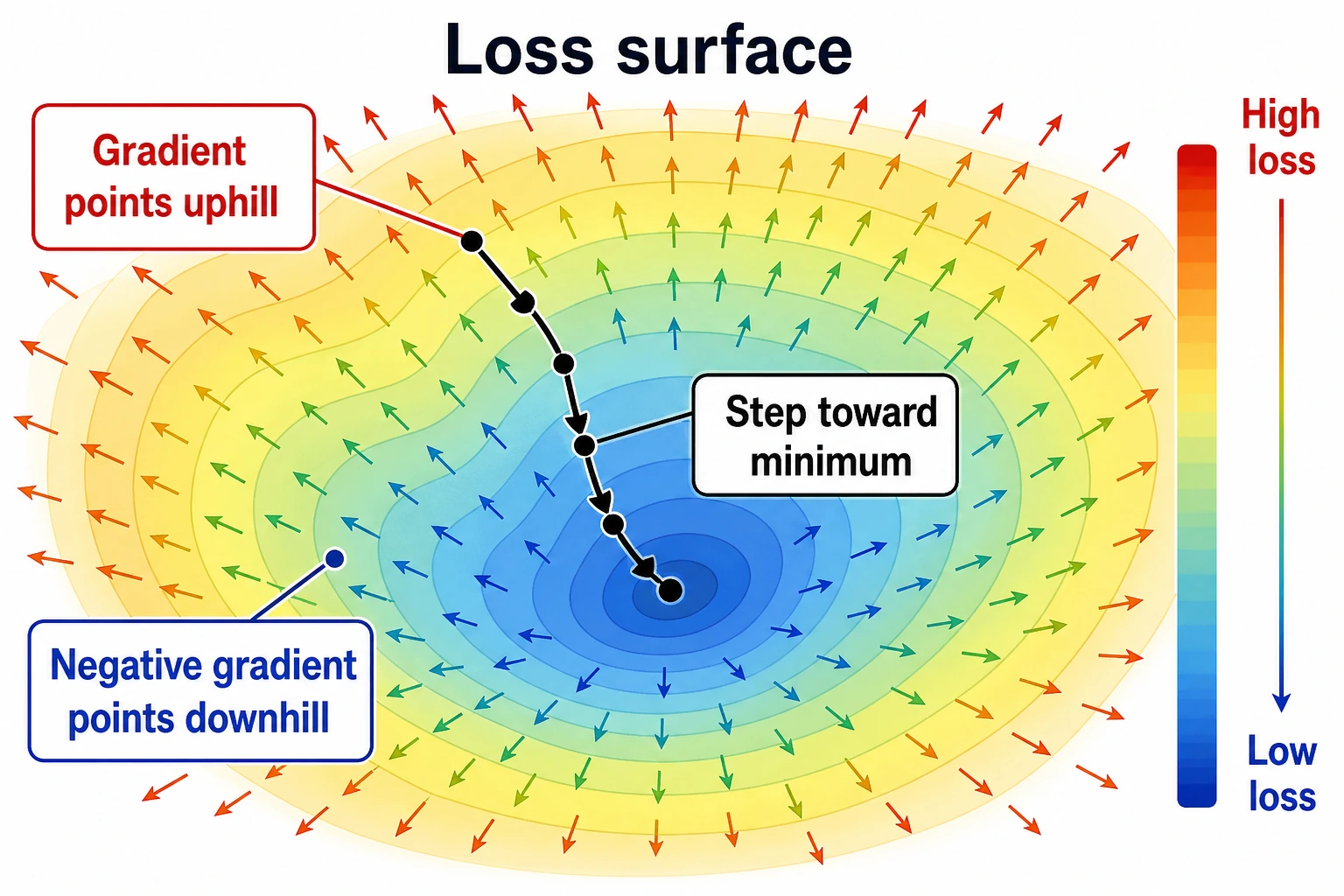 Gradient contour direction field
