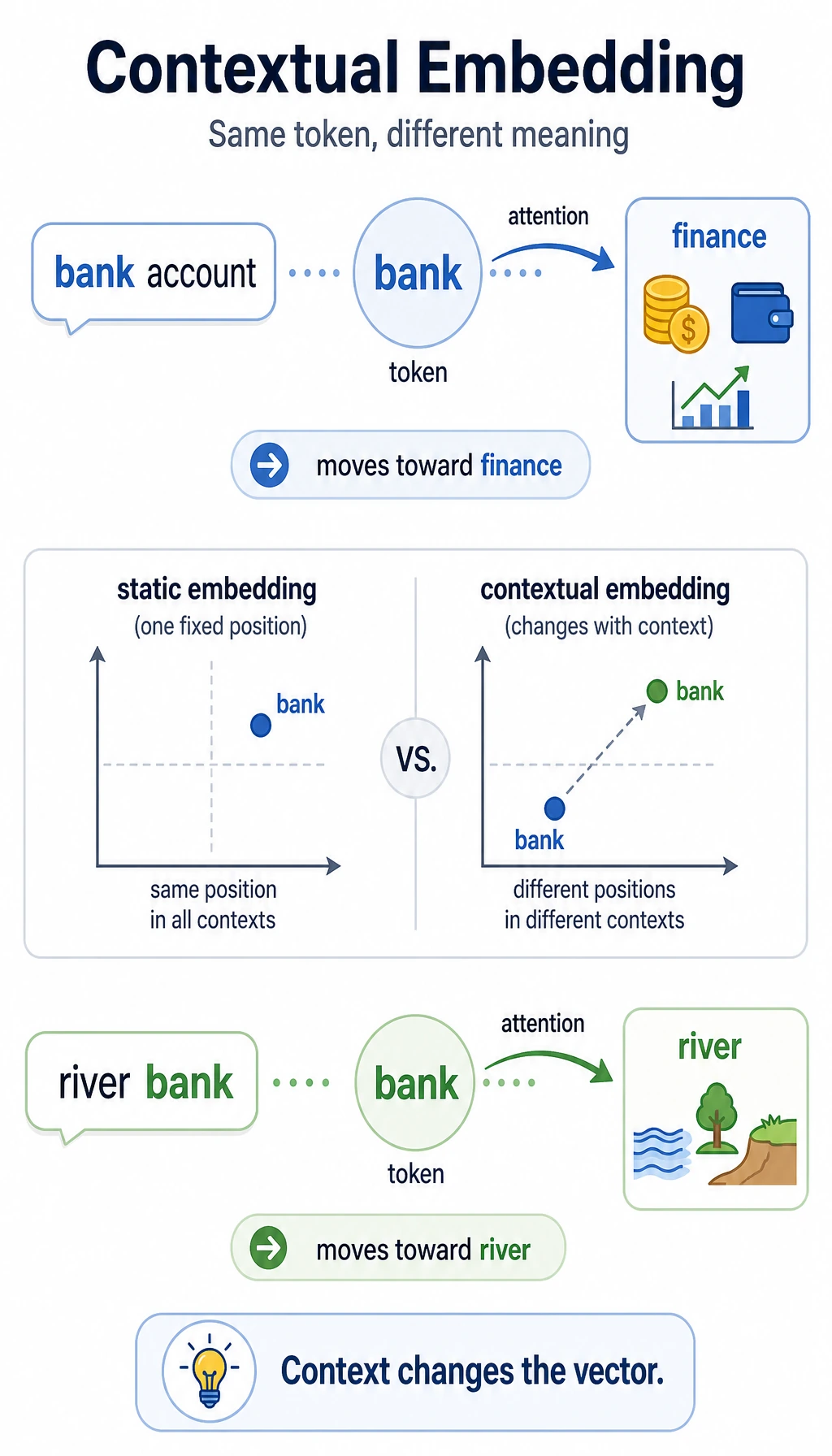 Contextual representation disambiguates polysemy diagram