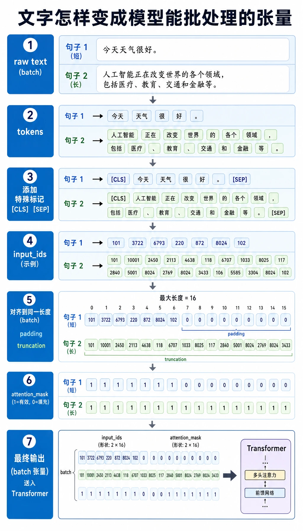 Tokenizer 到 input_ids 与 attention_mask 图