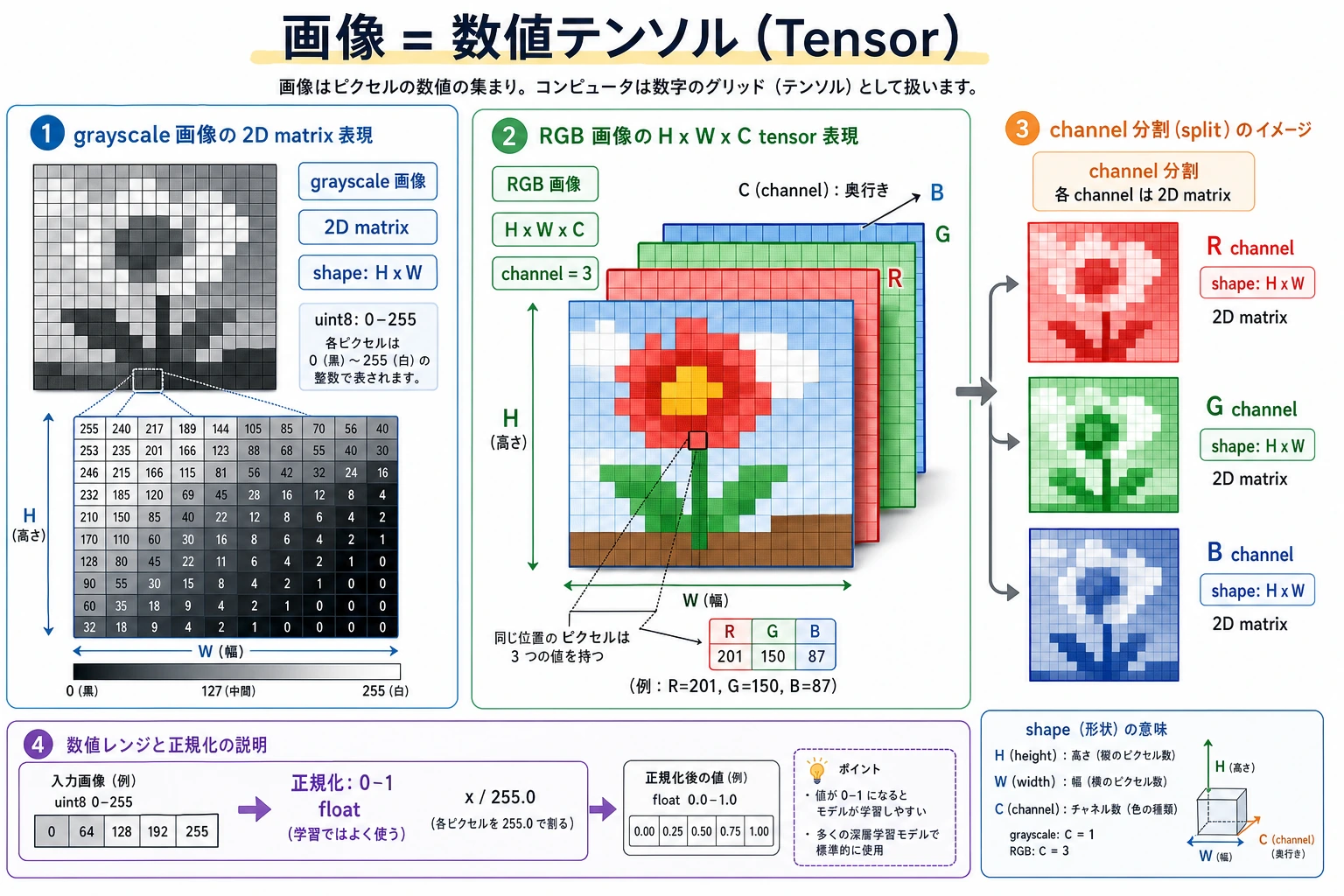 画像配列の Shape とチャンネルの意味図