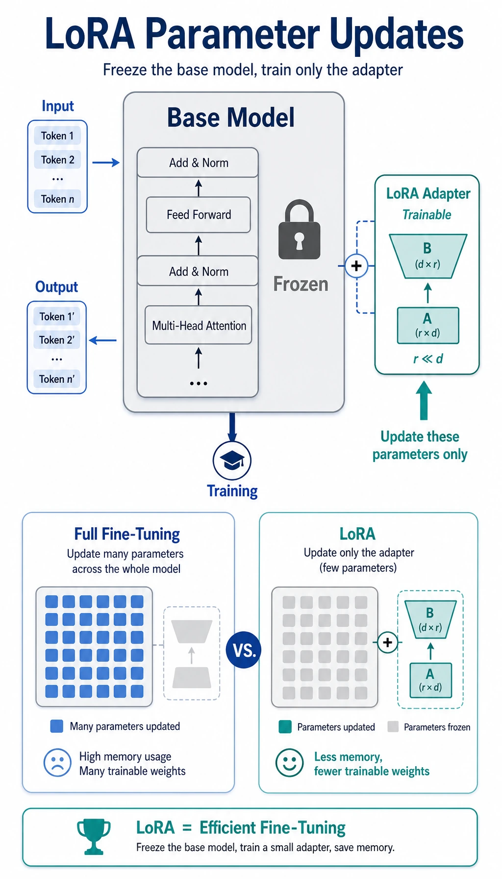 LoRA parameter update comparison