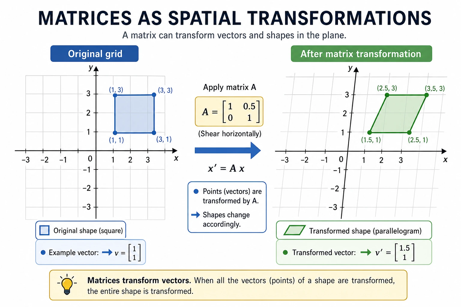 Matrix linear transformation grid diagram
