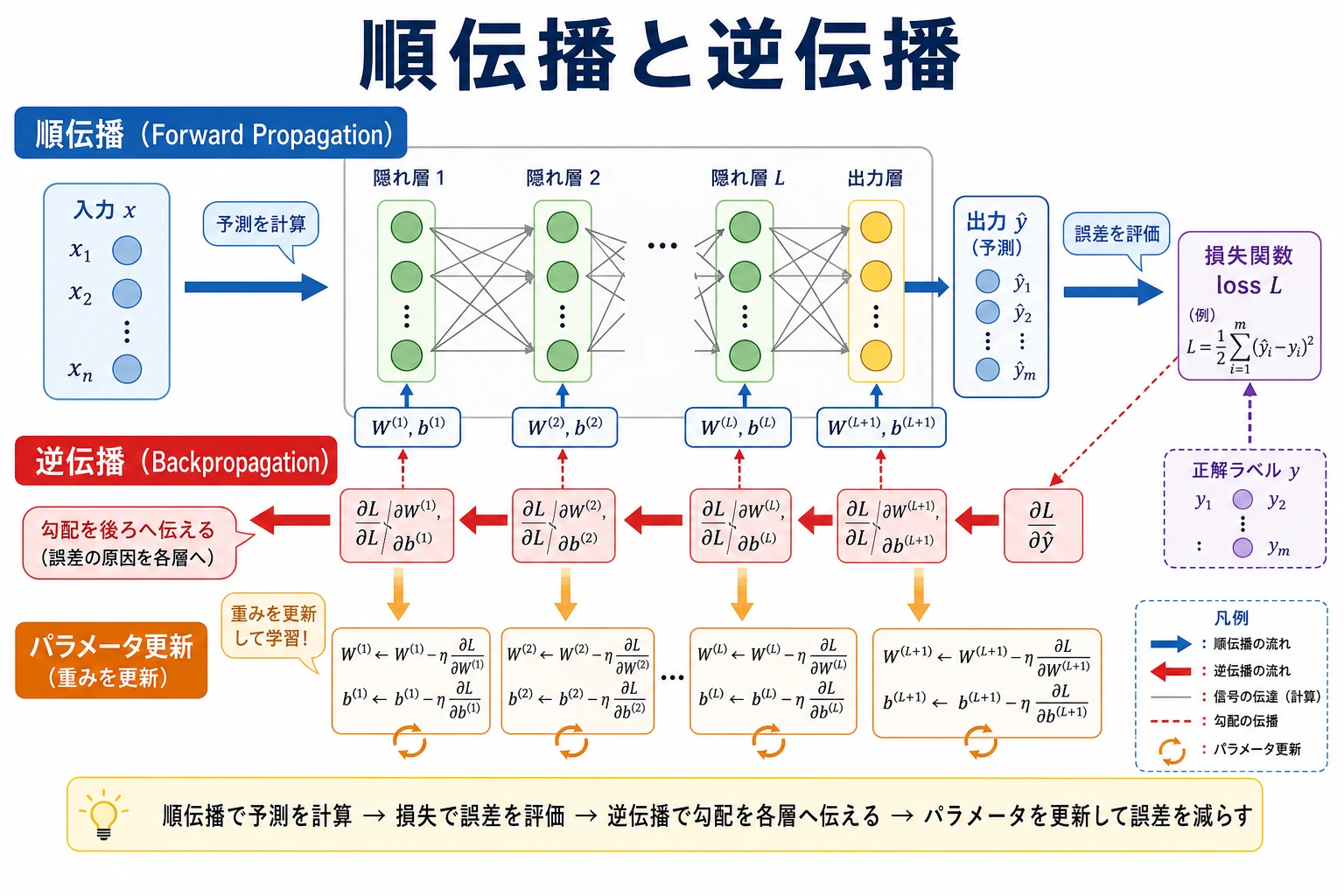 ニューラルネットワークの順伝播と逆伝播の図
