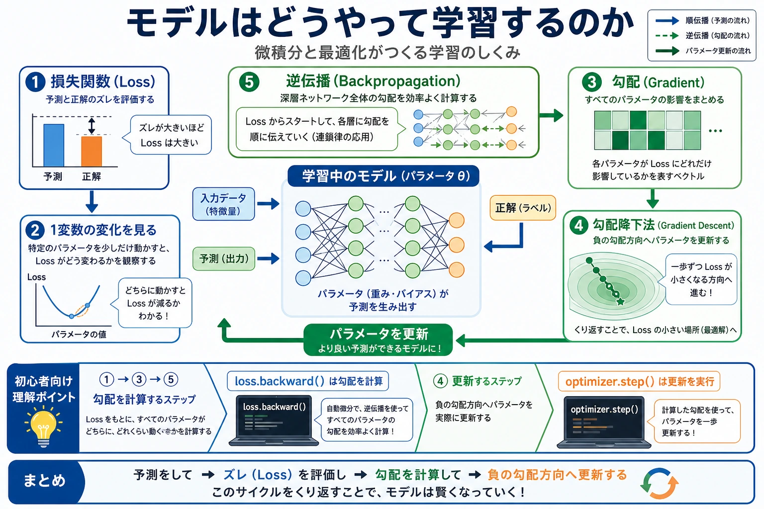 微積分と最適化セクション関係図
