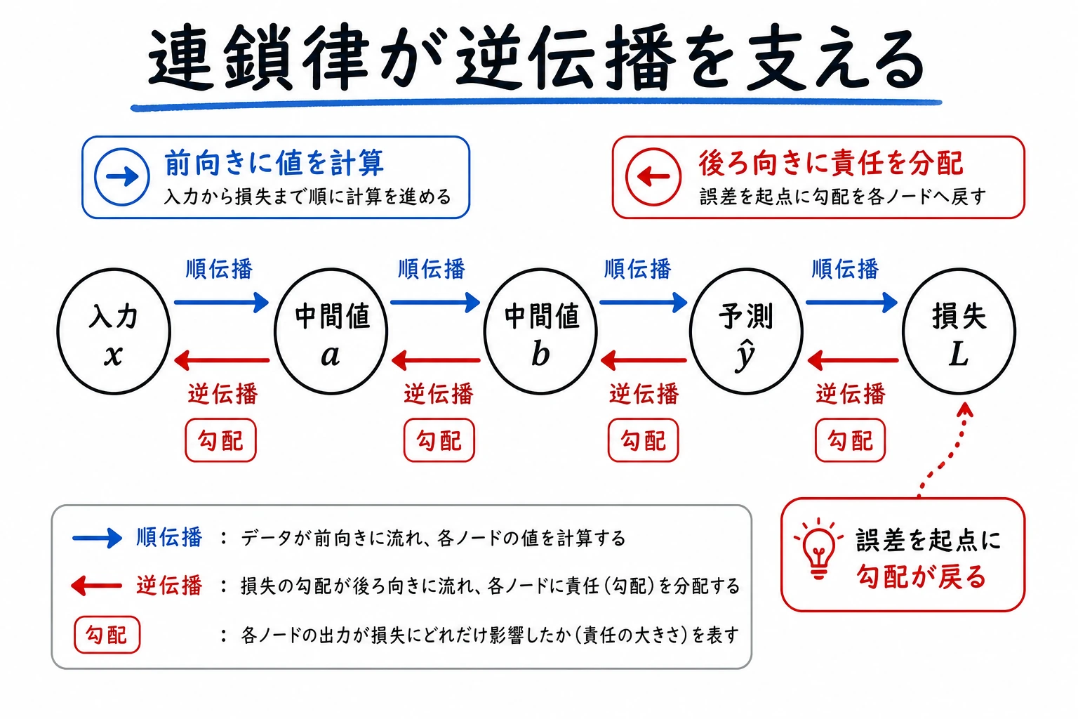 連鎖律の計算グラフと逆伝播の模式図